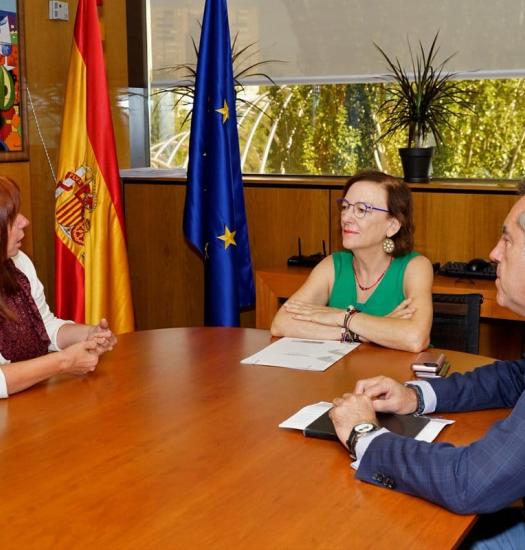 Primer encuentro con la Directora General del IMSERSO. Estrategia Nacional de Disfagia