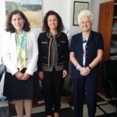 Reunión de la Vicepresidenta 1ª del Consejo General de Colegios de Logopedas, Dª Carmen Castro Iglesias,con la Subdirectora General de Títulos del Ministerio de Educación y Ciencia, Dª Margarita de Lezcano-Mújica